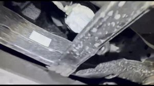 Где находится номер двигателя у BYD Tang