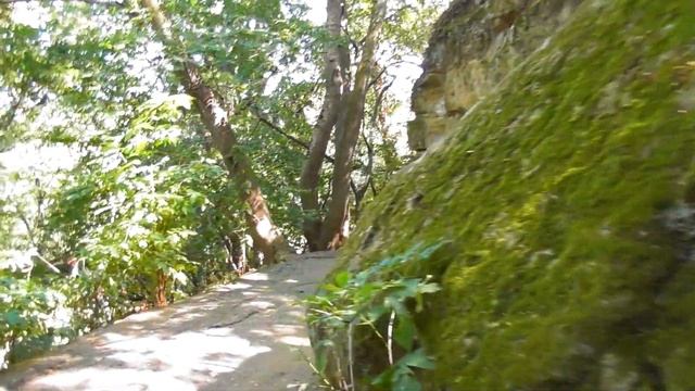 Долина роз. Курортный парк.Розы.Кисловодск
