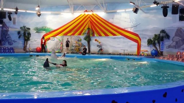 Минский дельфинарий смотреть онлайн