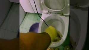 Туалетный блок упал в унитаз.#shorts