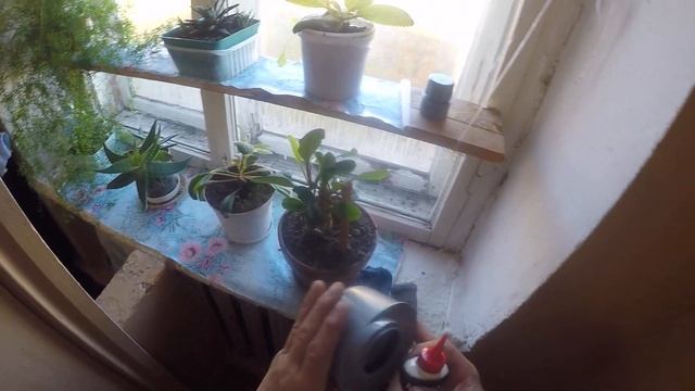 Воняет канализацией в помещении. Устраняем причину запаха.