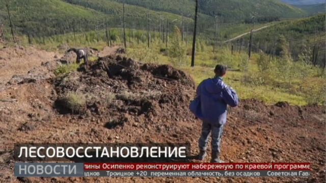 Лесовосстановление. Новости. 22/09/2022. GuberniaTV