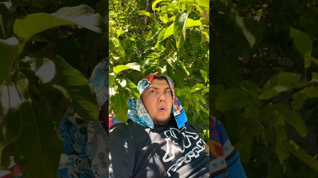 МАМА в шоке  #reels #юмор #прикол #tiktok #дуэт #shortvideo #смех #лайк