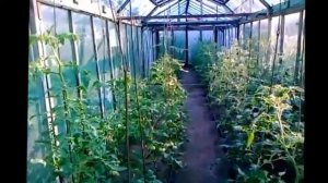Система капельного полива своими руками в теплице