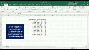 Microsoft Excel Foundation: 1.2 - Selection Techniques & Manipulation of Rows, Columns & Cells