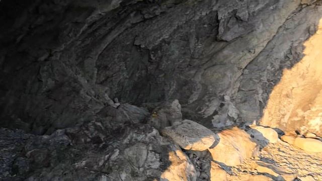 мышиные норы. август 2020(1) смотреть онлайн