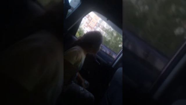 моя сестра поёт в машине не понимаю зачем ну просто открывает Вот представляешь что что на певица