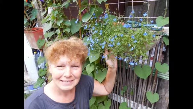 Маме 58 смотреть онлайн