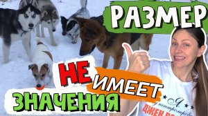Размер имеет значение? Самый мелкий, самый быстрый, самый шустрый во дворе