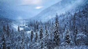 МЕДИТАЦИЯ. ЗИМНИЙ ЛЕС И ВОЛШЕБНАЯ МУЗЫКА ❤