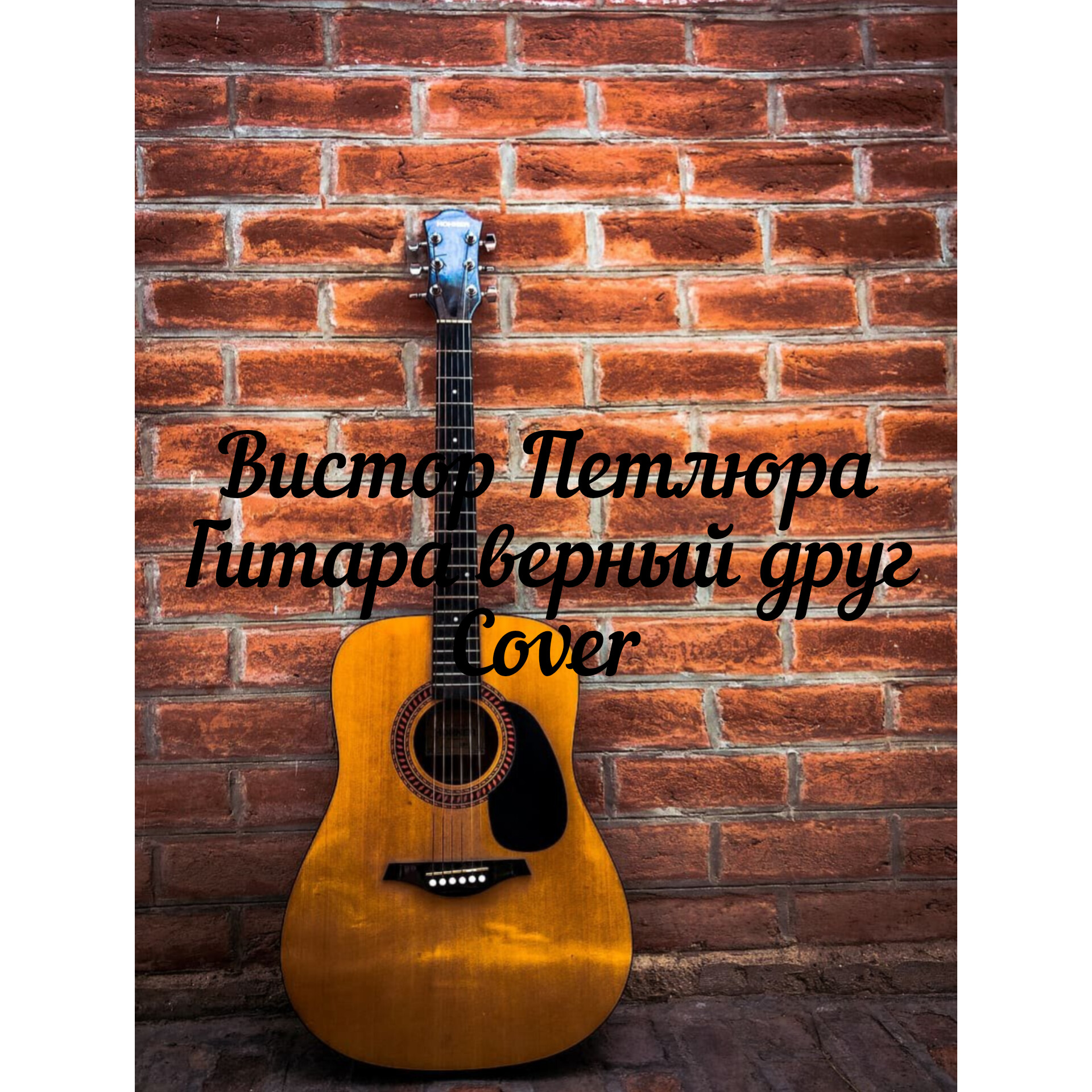 Петлюра сады. Acoustic moods Ensemble. Various – Pure Acoustic moods.