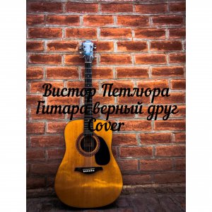 Виктор петлюра cover