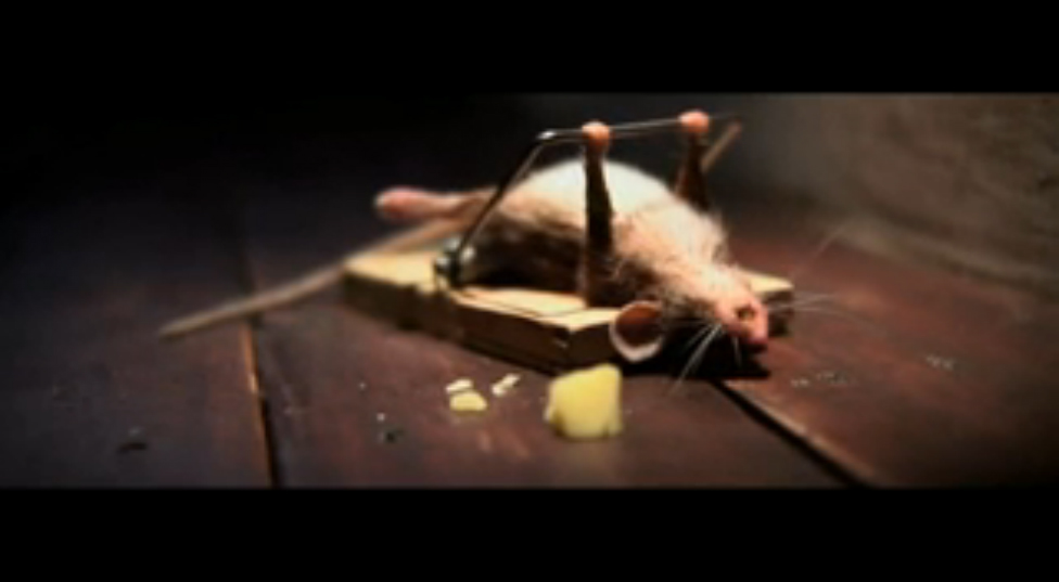  Сырок как надо_) смотреть онлайн