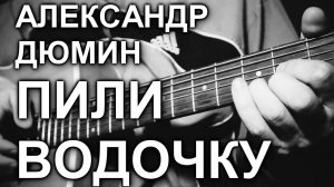 Александр Дюмин - Пили водочку (cover, под гитару)
