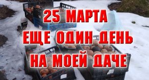 25 марта. Еще один день на даче
