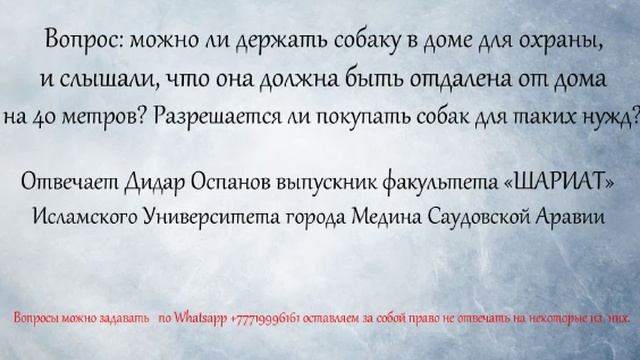 Можно ли мусульманам держать собаку. Можно ли держать собаку в исламе. Мусульманская собака. Собака харам. Можно ли держать собаку в исламе.