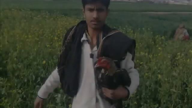 malik raees ka java patha смотреть онлайн