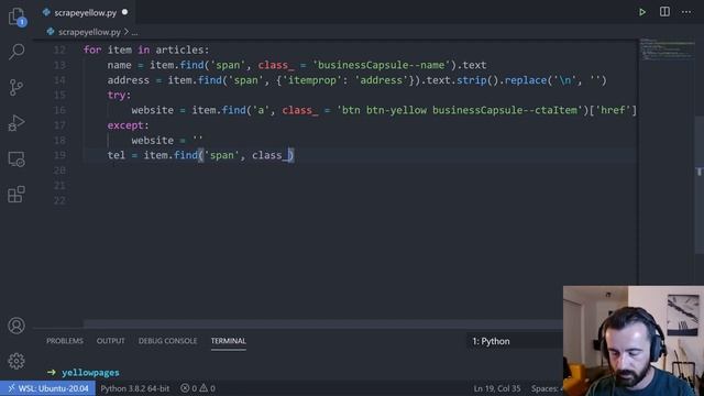 Build your own Yellow Pages web scraper with Python смотреть онлайн