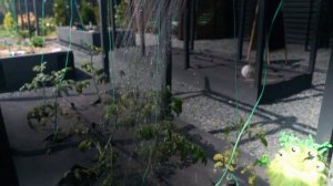 ЛЕЙКА ИЗ БУТЫЛКИ ДЛЯ ПОЛИВА ОГОРОДА С ДЕТЬМИ