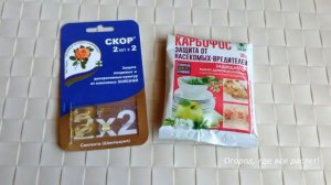 Подробно об уходе за грушей.mp4