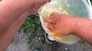 Гороховая мастырка на берегу-это просто /   за 4 минуты на рыбалке / никакой варки