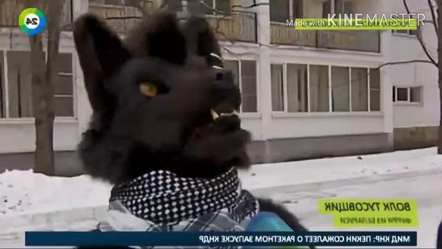 Это мы, мы фурри смотреть онлайн