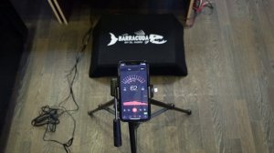 Обзор DL Audio Barracuda 12A Flat