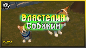 Властелин Собакин! Событие Собаковод в Ласт Дей! Last Day on Earth: Survival