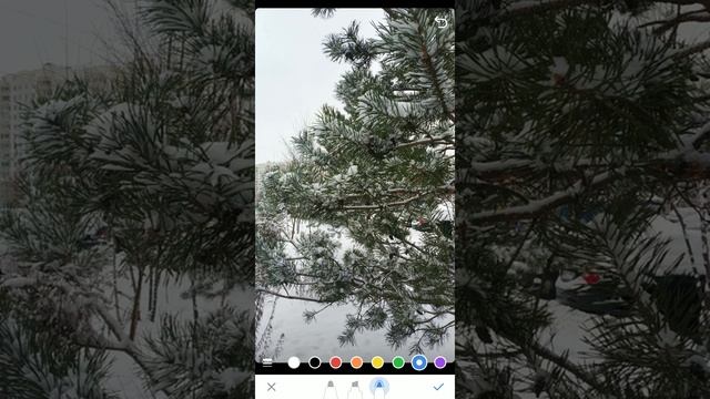 Как в ВКонтакте загрузить сразу несколько историй