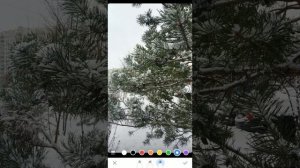 Как в ВКонтакте загрузить сразу несколько историй