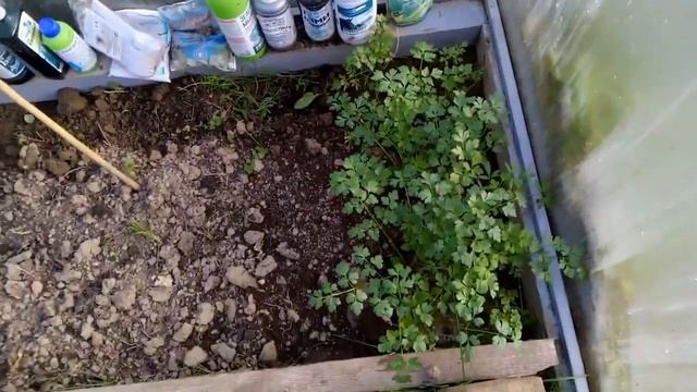 ЗАГЛЯНЕМ В ДАЧНЫЙ ДОМИК)) Осенний обход дачи смотреть онлайн