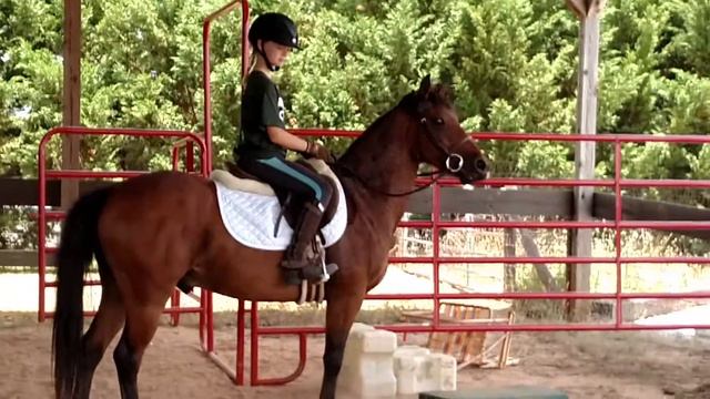 Chance and Syd смотреть онлайн