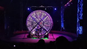 Цирк Арена-Ягуар