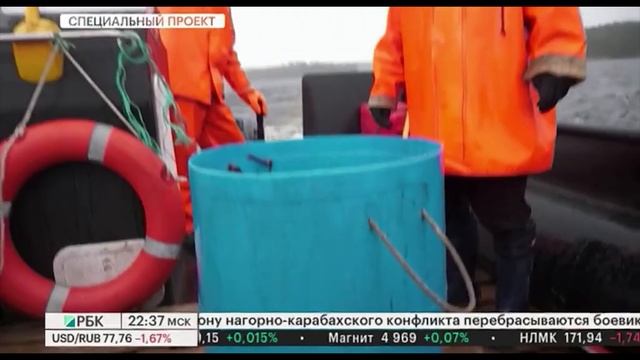 РБК Бизнес Вектор о форелевой ферме Алдога