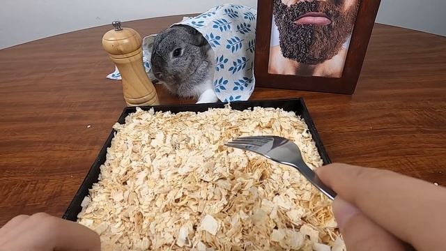 Monster School x Roblox Spider #robloxpiggy Roblox animation смотреть онлайн