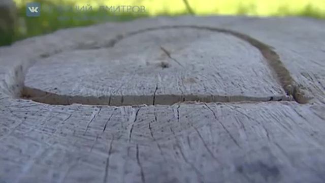 Святогорово против мусорного полигона смотреть онлайн