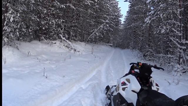 Поездка и рыбалка на таёжное озеро смотреть онлайн