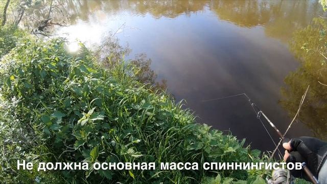 Рыбалка на голавля в мае 2019 года в Смоленской области смотреть онлайн