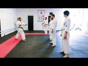 Годзю рю тренинг дома 10. Базовые удары и блоки. На месте. Шаг вперед и назад. Сенсей Александр Гриб