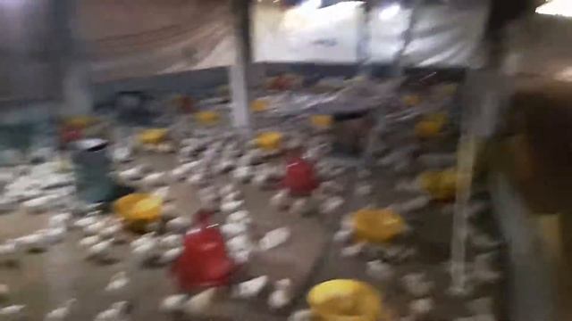 Doc malindo смотреть онлайн