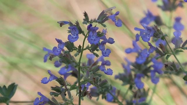 Bermlife 9 4 22 смотреть онлайн