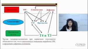 Первичный гипотиреоз и гиперпролактинемия