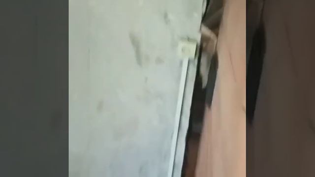 колпаковая печь медведь смотреть онлайн