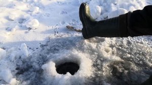 Диологи о рыбалке или друг рыбака, часть вторая)))