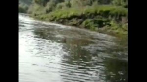 РЕКА УПА(ЛОВЛЯ ЩУКИ НА СПИНИГ)(посёлок Одоев)