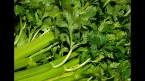 ПОЛЬЗА СЕЛЬДЕРЕЯ