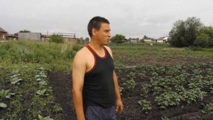 Первое окучивание картошки после сильных дождей тяжело и трудно с мотоблоком "ОКА"