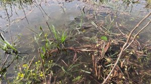 Астрахань вобла 2022,Рыбалка с друзьями.