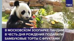 В Московском зоопарке пандам в честь Дня рождения подарили бамбуковые торты с фруктами
