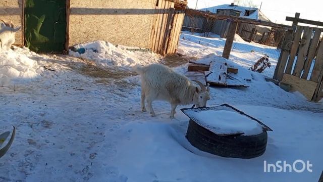 Просили рассказать, о себе! Рассказываю! смотреть онлайн